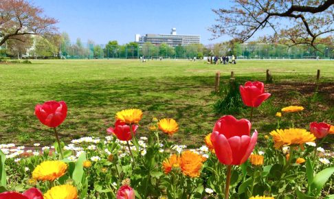 武蔵野中央公園