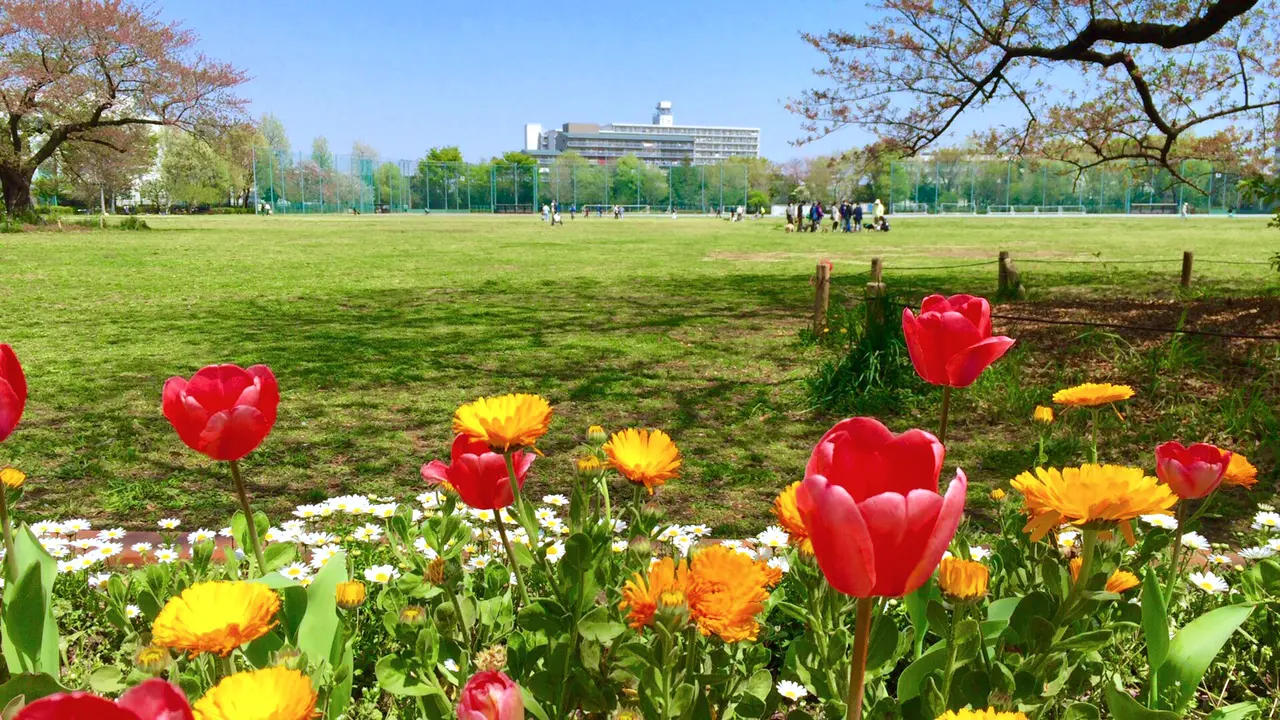 武蔵野 中央 公園