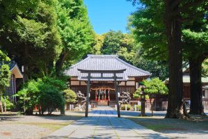 平塚神社（平塚城）