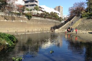 音無もみじ緑地（松橋弁財天跡）