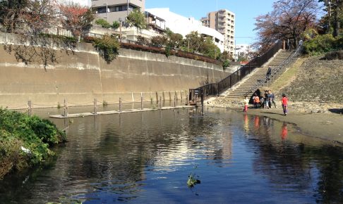 音無もみじ緑地（松橋弁財天跡）