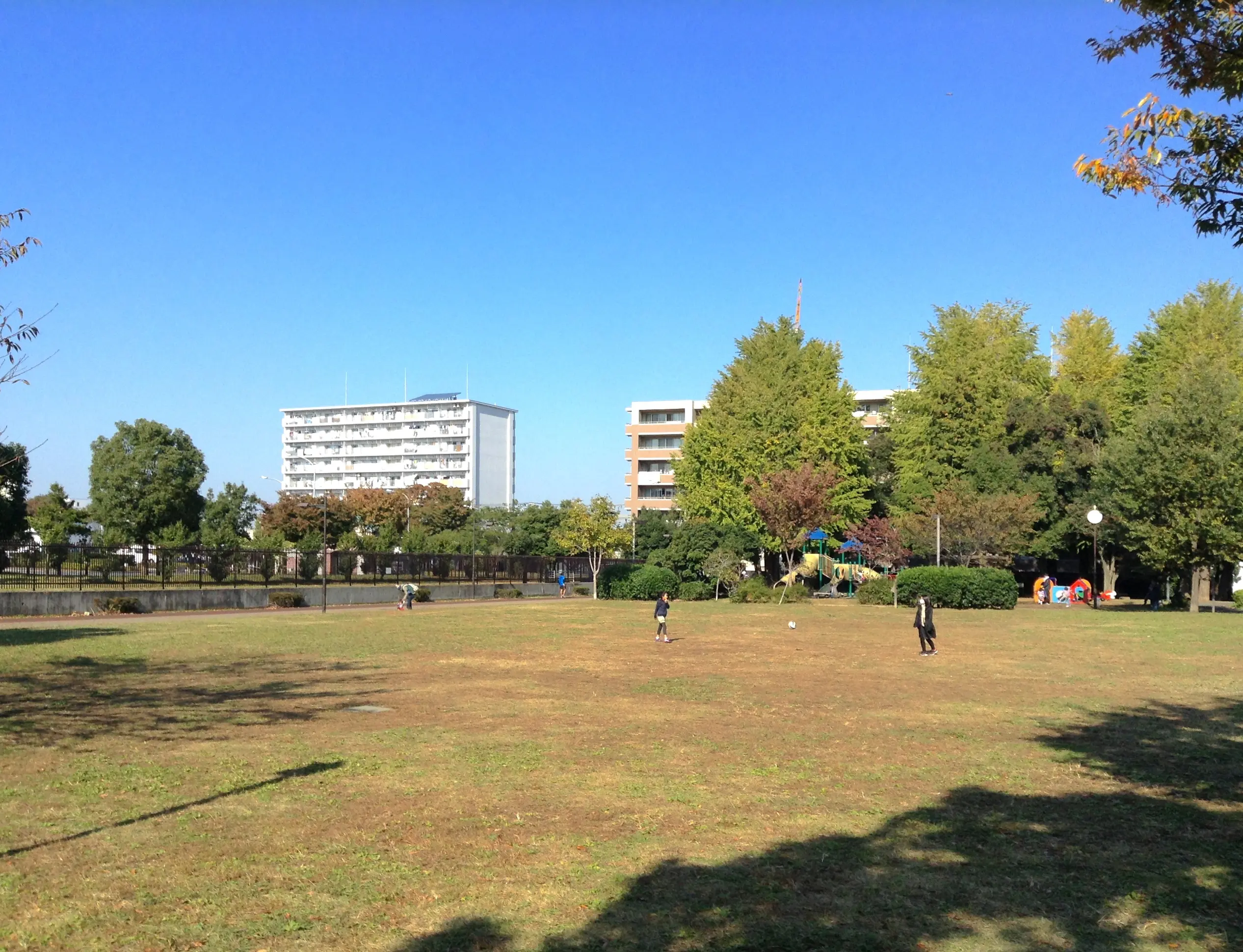 北区立中央公園 東京とりっぷ