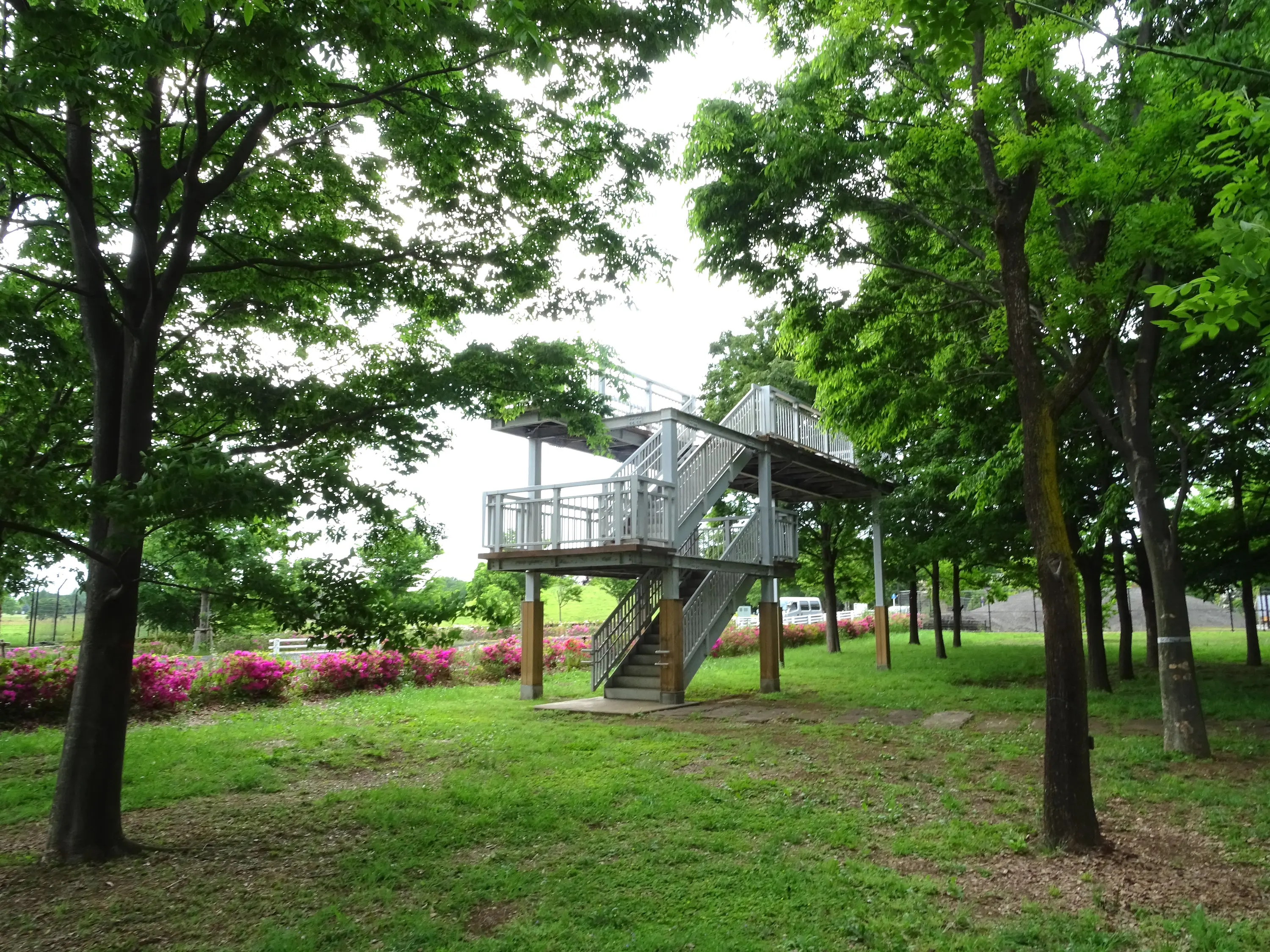 武蔵野 の 森 公園(02)