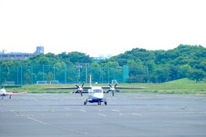 武蔵野の森公園・展望の丘