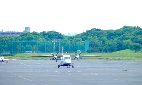 武蔵野の森公園・展望の丘