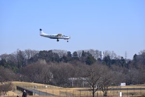 武蔵野の森公園