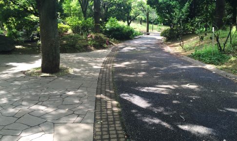 平和の森公園（中野区）