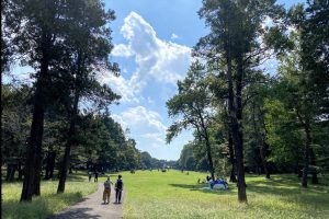 野川公園