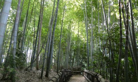 竹林公園