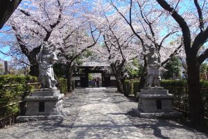 安養寺