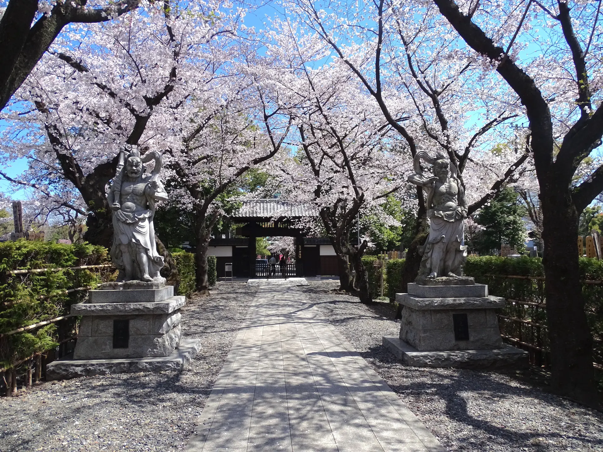 「 餘々の安東 （ よよのあ と）」本願寺内事局　中宗大師四百年忌 です。 蓮如忌法要 | 浄土真宗本願寺派・三重県津市｜法喜山 存仁寺(ぞ