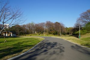 辰巳の森緑道公園