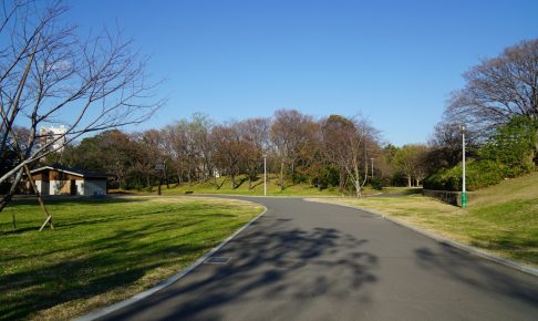 辰巳の森緑道公園