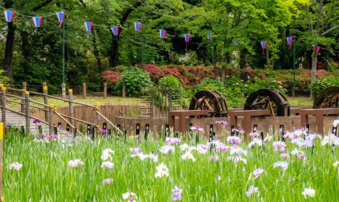 しょうぶ沼公園