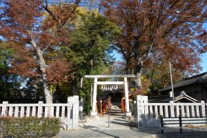 渕の宮（伊興氷川神社）