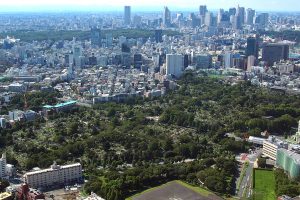 青山霊園