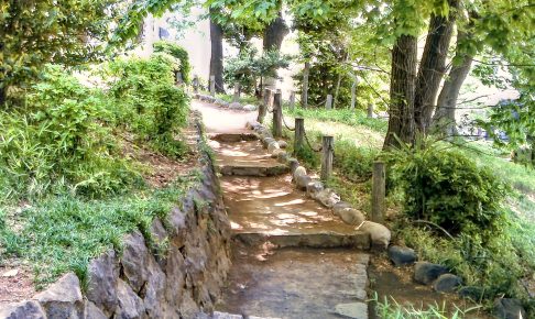 世田谷城址公園（世田谷城）