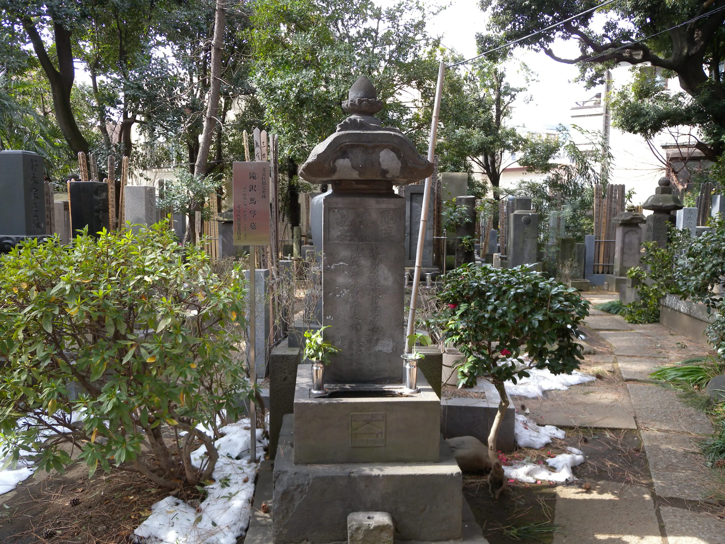 【中古】 花見虱盛衰記/文芸社/滝沢馬琴 Amazon.co.jp: 滝沢馬琴 上 (講談社文庫 す 1-20) : 杉本 苑子: 本