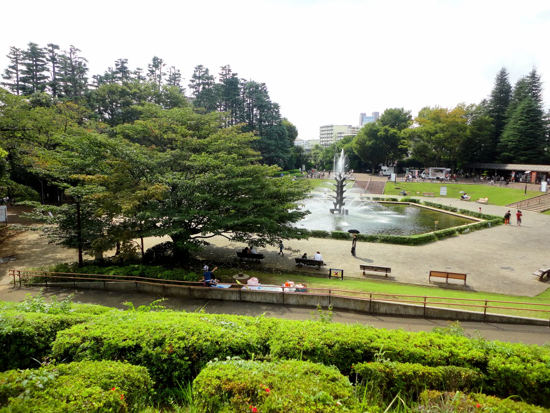 世田谷公園 | 東京とりっぷ