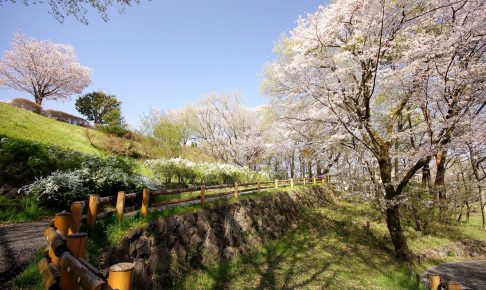 桜ヶ丘公園