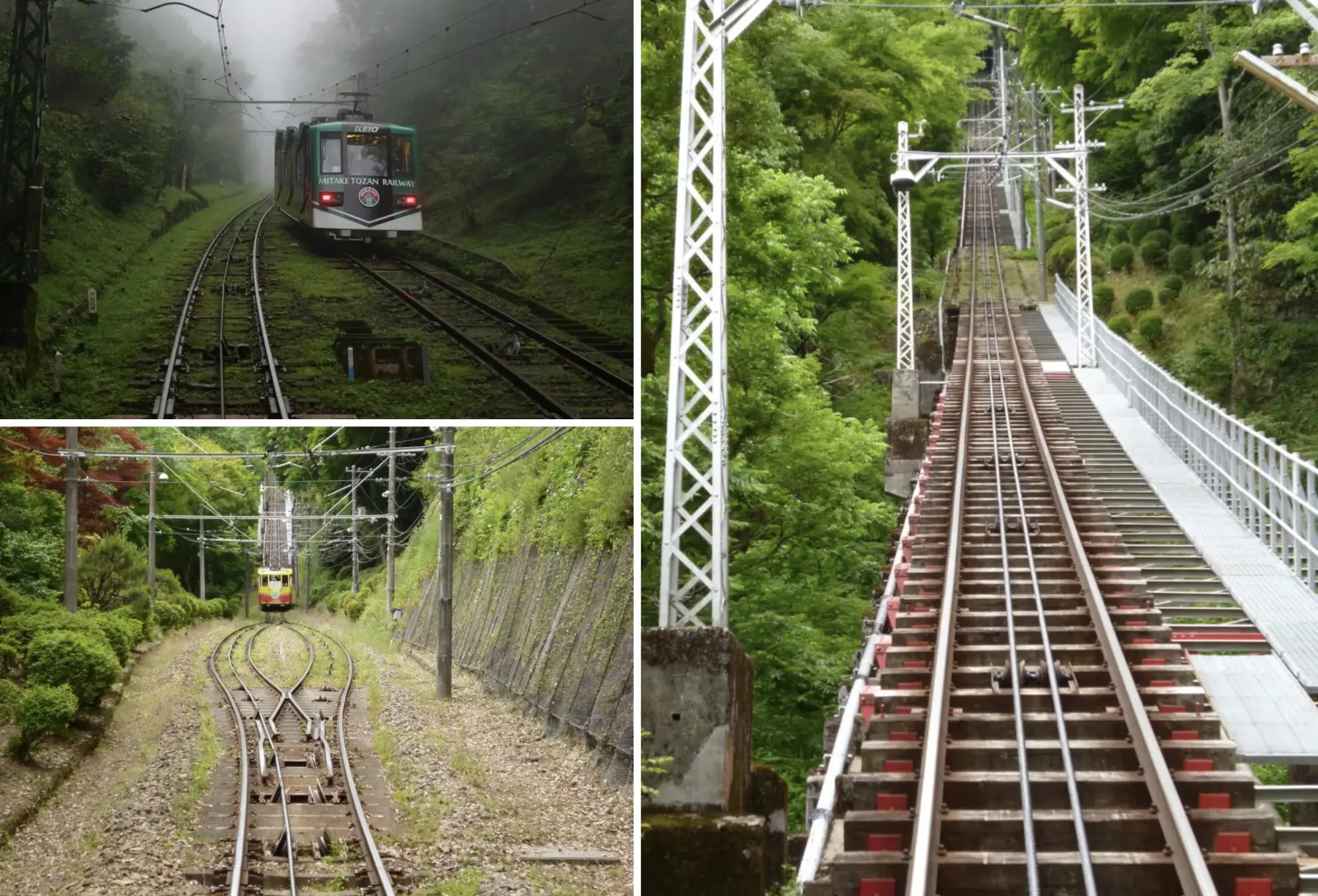 東京のクールゾーンを探せ 3 ケーブルカーで涼しい山上へ 東京とりっぷ