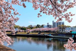 小豆沢河岸広場（東京水辺ライン小豆沢発着所）