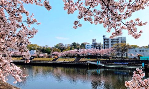 小豆沢河岸広場（東京水辺ライン小豆沢発着所）