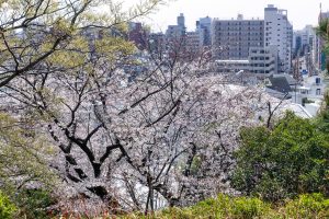 西郷山公園