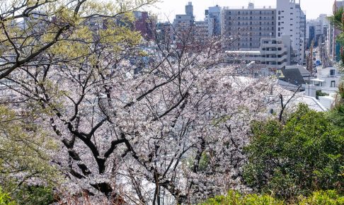 西郷山公園