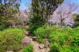 西郷山公園