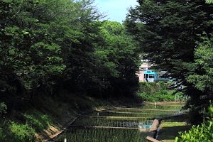 駒場野公園