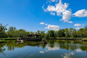 荒川自然公園