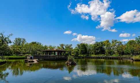 荒川自然公園