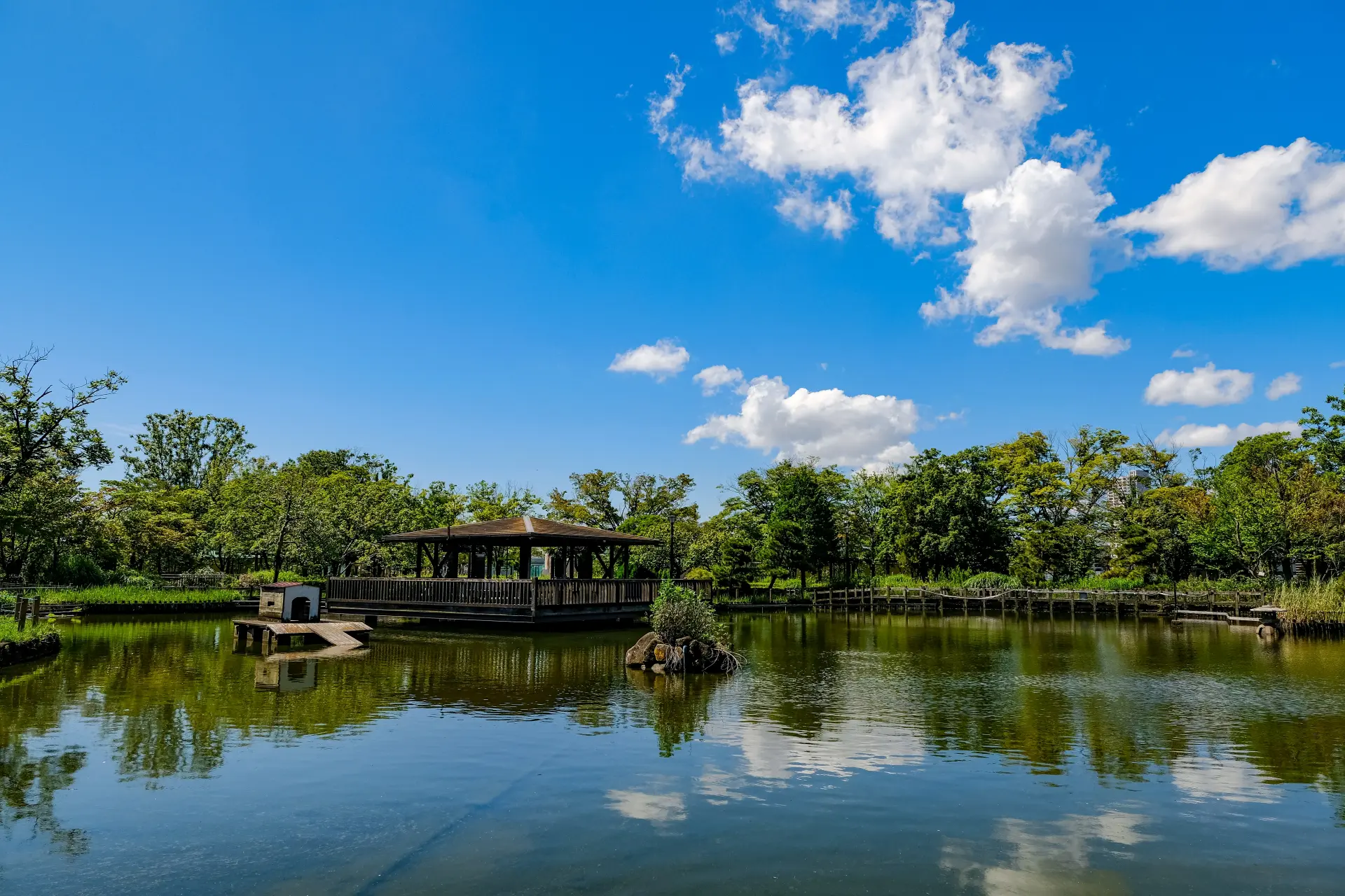 荒川自然公園 | 東京とりっぷ
