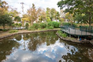 柳原千草園