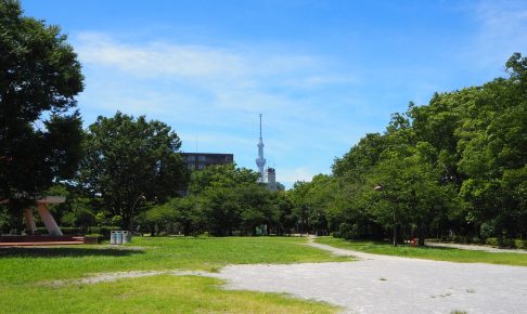 亀戸中央公園