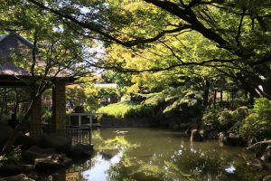 馬橋公園