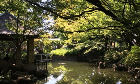 馬橋公園