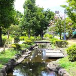 大横川親水公園