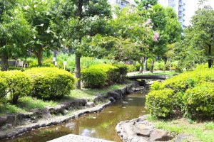 大横川親水公園