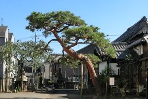 海蔵寺