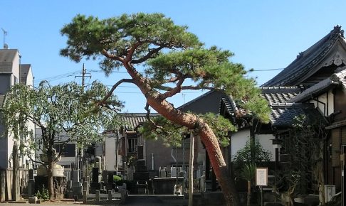 海蔵寺