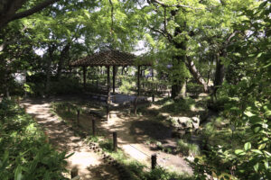 蘇峰公園