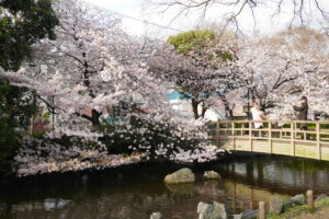 東綾瀬公園