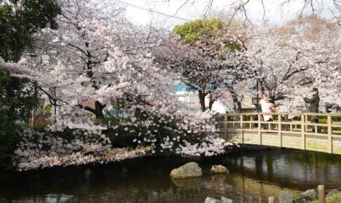 東綾瀬公園