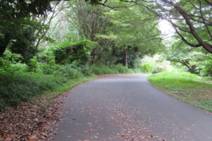 小山内裏公園・尾根緑道（戦車道路）