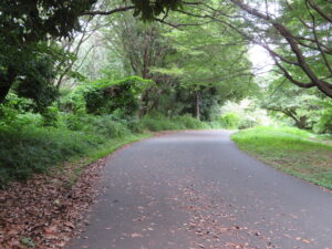 小山内裏公園・尾根緑道（戦車道路）