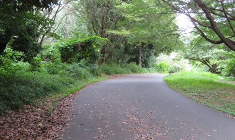 小山内裏公園・尾根緑道（戦車道路）