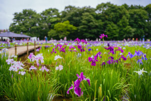 北山公園