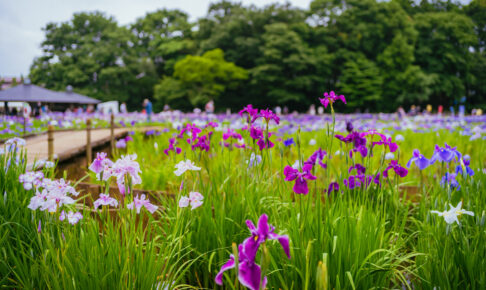 北山公園